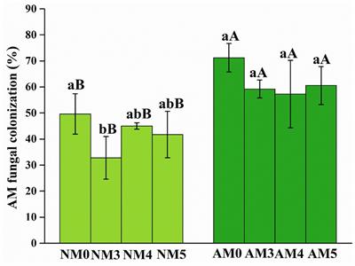 Combined contribution of biochar and introduced AM fungi on lead stability and microbial community in polluted agricultural soil